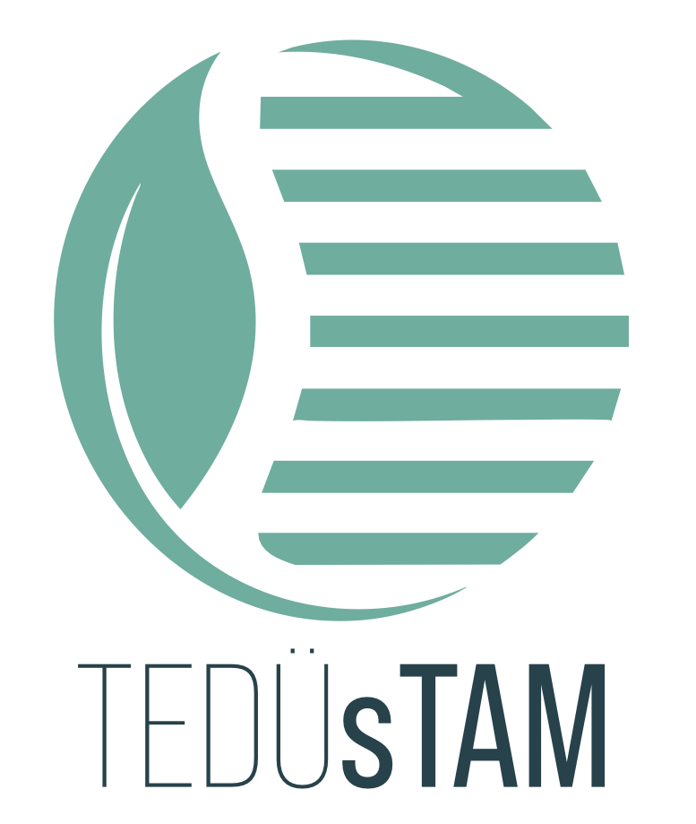 sTAM Logo